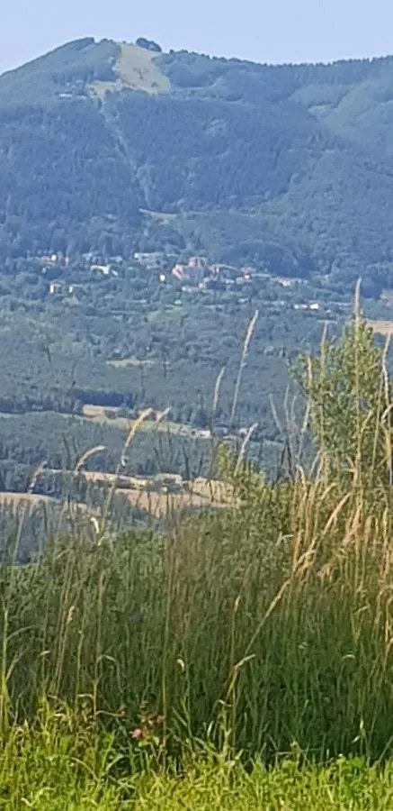 Apartment Appartamento Mamma Teresa Casine  Italy